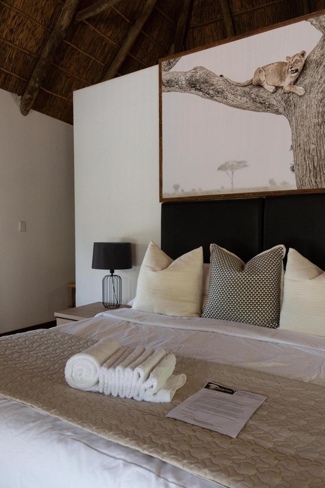 Mologa River Lodge Rust de Winter Eksteriør bilde
