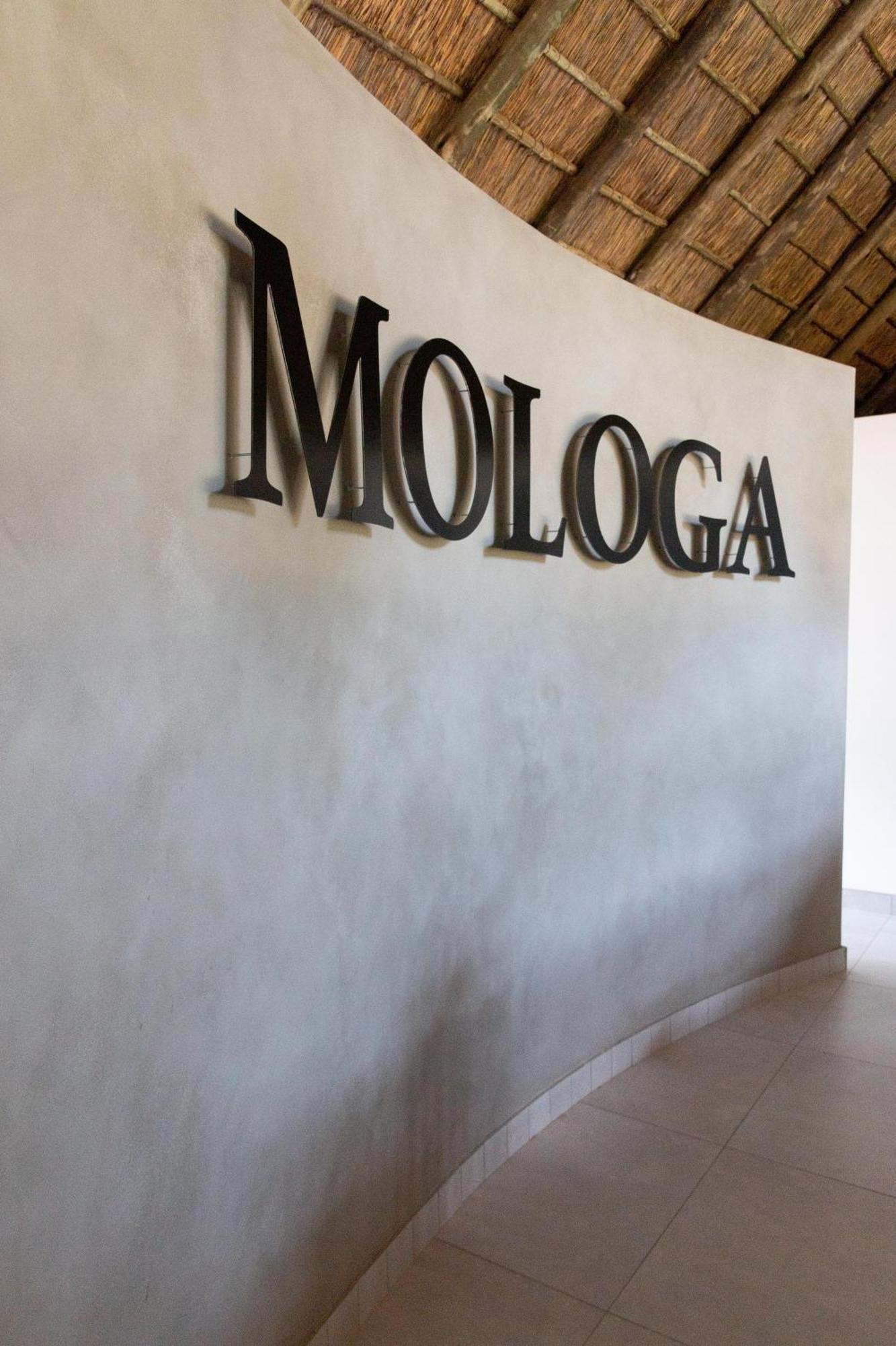 Mologa River Lodge Rust de Winter Eksteriør bilde